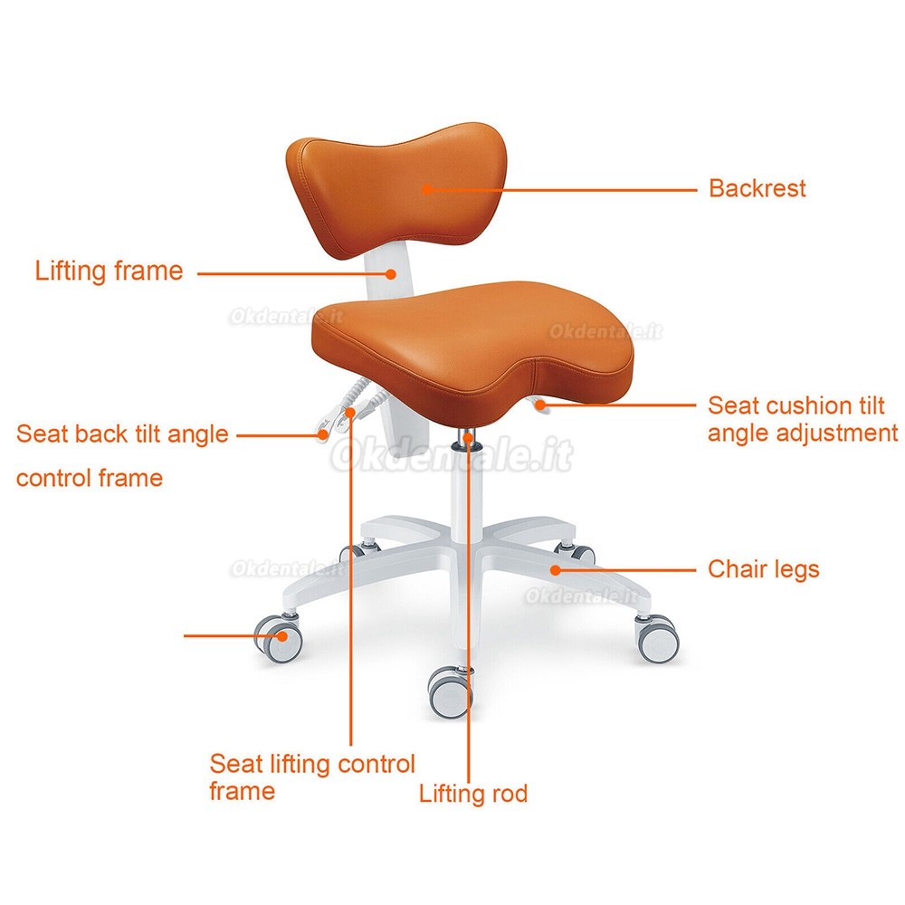 Sedia da assistente dentista, sgabello da ergonomico per dentista TYTC POST-060 (cuscino del sedile/angolo dello schienale regolabile)